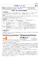 所得税・個人住民税の定額減税